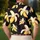 duiyfppz/products/6a701d39e212b1ea44e818c0/gallery/LFwWJM5aej