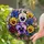 duiyfppz/products/6a701daebd9a98f94d8d073e/gallery/hjeOk2yPo4