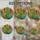 duiyfppz/products/6a701df051251d44d8e10838/gallery/wBZe4GspIc