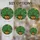 duiyfppz/products/6a701e0051251d63a7e1086e/gallery/6N4jAE23n_