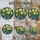 duiyfppz/products/6a701e1ce1ef9fc669710083/gallery/GW_-wClpeM