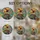 duiyfppz/products/6a701e88e212b13028e81b6c/gallery/0ABW6H-Wlp