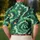 duiyfppz/products/6a701ea604717d8b57a77e02/gallery/jbzel68C5r