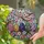 duiyfppz/products/6a701ed76a9ad50d3ffdf0ae/gallery/wtSTSN92ET