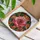 duiyfppz/products/6a701ee8cfb86a6d76a2f08b/gallery/yk-wOJUkK2
