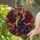 duiyfppz/products/6a701f16cfb86a686da2f126/gallery/tISAeMlAqy