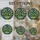 duiyfppz/products/6a701f366a9ad57bc6fdf206/gallery/8Ov0PtJR4A