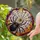 duiyfppz/products/6a701f5504717d06b0a77f73/gallery/pXYbSfeFdk