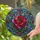 duiyfppz/products/6a701f6604717d78e0a77f98/gallery/TVjp2_QHT3
