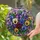 duiyfppz/products/6a701f837d0168c66ed82bd1/gallery/GwsBwzHBSV