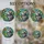 duiyfppz/products/6a701fb54a2b2d76c8a7b774/gallery/rkl6FQ6fiV