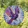duiyfppz/products/6a70203a6a9ad5b1e5fdf526/gallery/qRykny4BhS