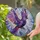 duiyfppz/products/6a70203a6a9ad5b1e5fdf526/gallery/yDZgvKCEH5