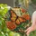duiyfppz/products/6a702049cfb86a719ea2f41b/gallery/MnqagqVNKu