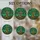 duiyfppz/products/6a70208881ace21f6da04901/gallery/eHwkvMwFzh