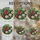 duiyfppz/products/6a7020c57d01688283d82ead/gallery/j7n8DYt1FE
