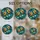 duiyfppz/products/6a70216f6a9ad50280fdf8ae/gallery/8FhszNLAcS