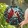 duiyfppz/products/6a7021a104717d03b1a78614/gallery/PE7JSw-HhE
