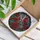 duiyfppz/products/6a7022bbbef49a5484e774e9/gallery/Oa_MjtQOpT