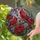 duiyfppz/products/6a7022bbbef49a5484e774e9/gallery/P8zlJcDGMZ