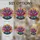 duiyfppz/products/6a7022d704717d0242a7888b/gallery/W9J8EDL6k2