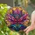 duiyfppz/products/6a7022d704717d0242a7888b/gallery/c0hhV4b9vx