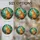 duiyfppz/products/6a702369e212b14720e82c00/gallery/J9O70KD-Zc