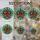 duiyfppz/products/6a7023ea81ace24fd7a0514d/gallery/NZJOFBArq7