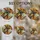 duiyfppz/products/6a70247ee1ef9f290f7117ba/gallery/nVp1ueEQkC