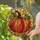 duiyfppz/products/6a70250bbd9a9843178d1c5c/gallery/uW-JxdaBT-