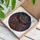 duiyfppz/products/6a70254881ace2fe72a0546d/gallery/wfW2Sd_Z54