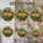 duiyfppz/products/6a702575e1ef9f157a7119d6/gallery/lQ91TtZ0qX