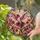 duiyfppz/products/6a7025a525ad9f9d2a8e48fd/gallery/TRGDYsYPdX