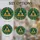 duiyfppz/products/6a7025b4e212b1800ae831aa/gallery/1N-n2L9d5U