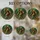 duiyfppz/products/6a702612cfb86ae720a302e4/gallery/ewy7ZAre-Y