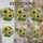 duiyfppz/products/6a70269081ace28cffa05a0c/gallery/y-ieYKGqy5