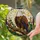 duiyfppz/products/6a7026a1e212b161bce83464/gallery/aRK04Di3N2