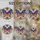 duiyfppz/products/6a7026cdcfb86a7512a30523/gallery/__AEqvu7YY