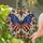 duiyfppz/products/6a7026cdcfb86a7512a30523/gallery/w5iJs0GlNT