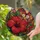 duiyfppz/products/6a7026dc6a9ad58ee3fe05a6/gallery/r7suGFsR_M