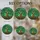 duiyfppz/products/6a7026fce1ef9f1e0d711e15/gallery/Hd-Ud1jQMe