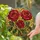 duiyfppz/products/6a70270abd9a98653d8d2474/gallery/VgYGRuLv7E