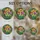 duiyfppz/products/6a702773bef49a5192e78572/gallery/uYeDEZVDr4