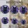 duiyfppz/products/6a702782e212b142d7e8368d/gallery/DByBCBgKvs