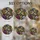 duiyfppz/products/6a7027d17d0168699ad8403d/gallery/ASpHD6cGqj