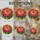 duiyfppz/products/6a7027e47d01685505d84084/gallery/cch1i-fvmi