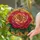 duiyfppz/products/6a7027e47d01685505d84084/gallery/tQoP61hRMH