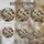 duiyfppz/products/6a702801bd9a9851fc8d2705/gallery/lRlwpMFh8b