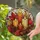 duiyfppz/products/6a7028257d016844ddd84132/gallery/cBUknV8rKq