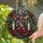 duiyfppz/products/6a7028f5e212b10256e83aa4/gallery/9JUe1TDmoO